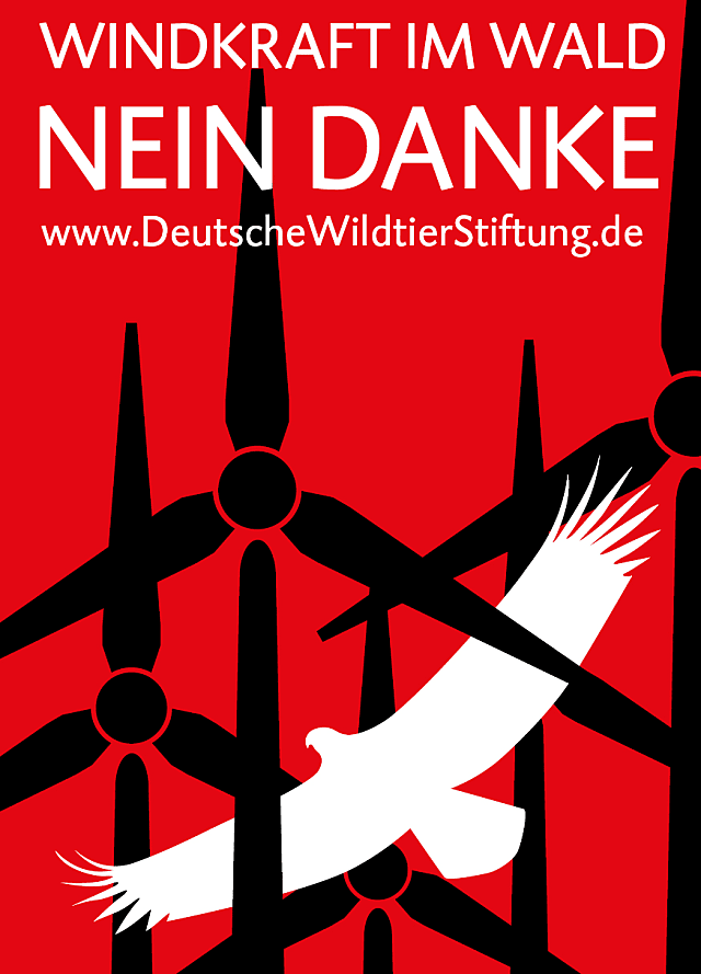 Windkraft im Wald: NEIN DANKE Deutsche Wildtier Stiftung will mit